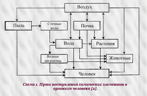 Схема 1. Пути поступления химических элементов в организм человека [2]